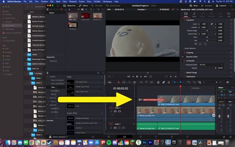 How to Add Music in Davinci Resolve: A Detailed Insight with Insightful Discussions